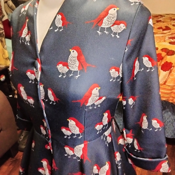 Miss Yan Bird Patterned Dark Academia Teacher Button Up Dress Size Small - Picture 5 of 13